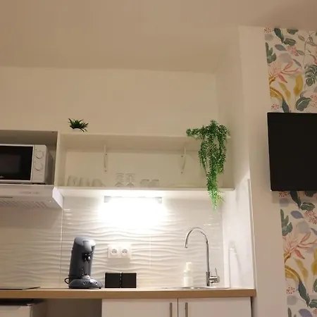 Lp - 4 Saisons Appartement Annecy